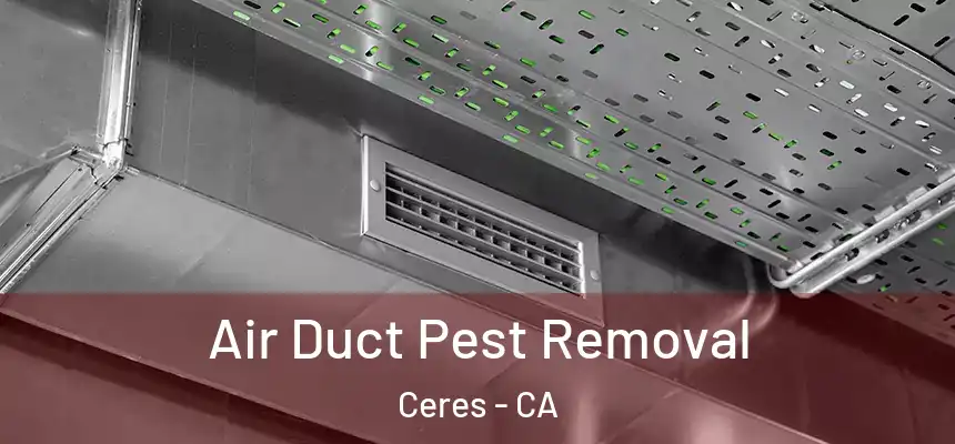 Air Duct Pest Removal Ceres - CA