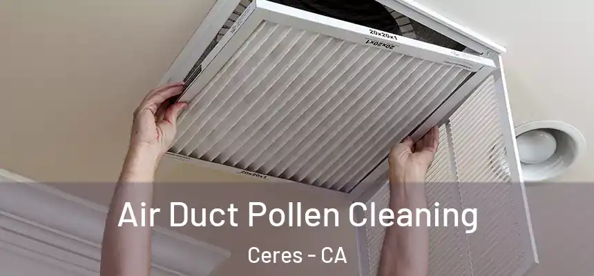 Air Duct Pollen Cleaning Ceres - CA