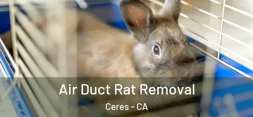 Air Duct Rat Removal Ceres - CA