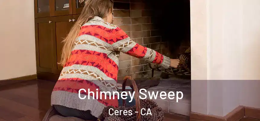 Chimney Sweep Ceres - CA