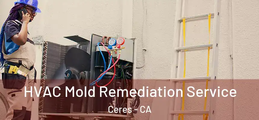  HVAC Mold Remediation Service Ceres - CA
