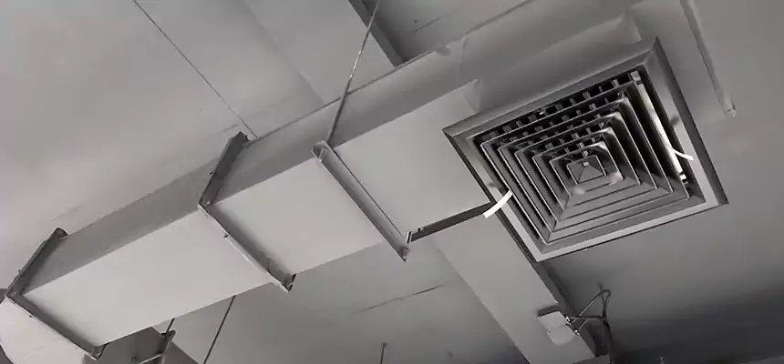 Our Pest Removal From Ducts Services in Ceres, CA