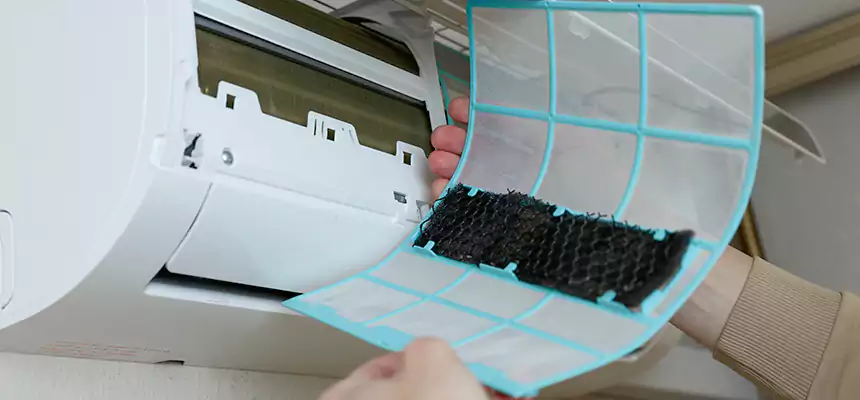 Gentle Ductwork Odor-Control Pet Dander Duct Cleaning in Ceres, CA