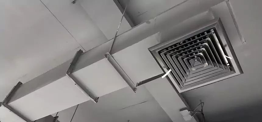 Our Rodent Droppings In Vents Services in Ceres, CA