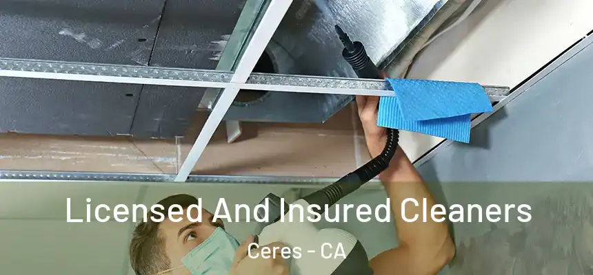 Licensed And Insured Cleaners Ceres - CA