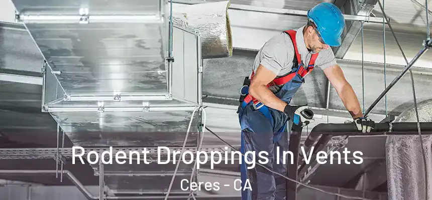  Rodent Droppings In Vents Ceres - CA