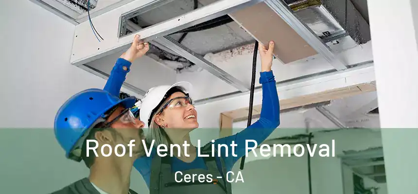 Roof Vent Lint Removal Ceres - CA