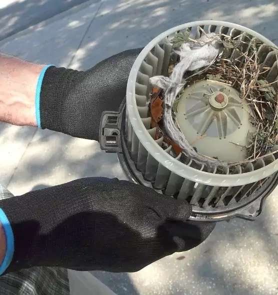 About Air Duct Rat Removal in Ceres, CA