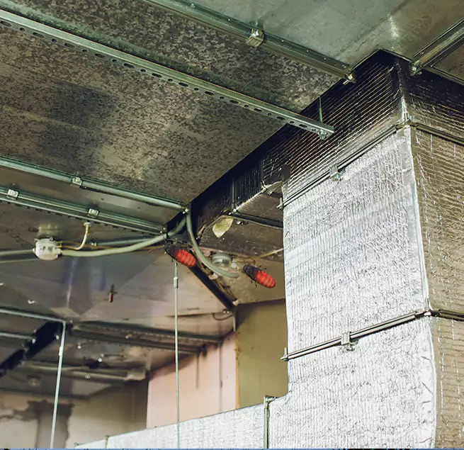 Why Homeowners & Businesses Trust Us in Ceres, CA?