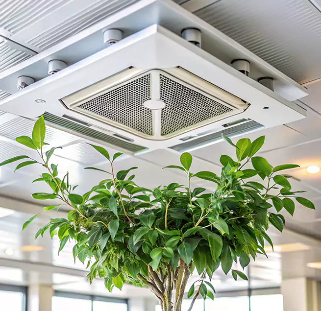 Why Homeowners & Businesses Trust Us in Ceres, CA?